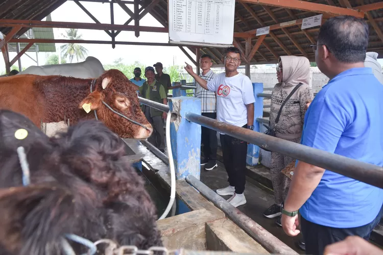 Gubernur Sulteng Rusdy Mastura saat meninjau UPTD Pembibitan Ternak milik Pemprov Sulteng di Desa Sidera Kabupaten Sigi, Sabtu 20 April 2024. (Foto: Biro Adpim). 