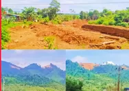 Gunung "Jadi Sumbing" di Morowali Utara, Pohon Lenyap, Malapetaka Mengintip