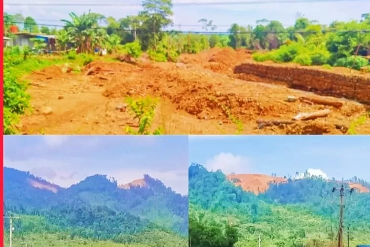 Gunung "jadi sumbing" pohon lenyap, berdampak pada kerusakan lingkungan dikecamatan Petasia Timur Morowali Utara (Foto: MS)