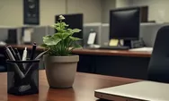 10 Rekomendasi Tanaman Hias yang Cocok untuk Mempercantik Meja Kantor, Buktikan Sendiri!