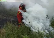 Menembus Belantara Kerumutan, cerita Kegigihan Petugas Padamkan Karhutla di Desa Mak Teduh