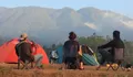 Sumpah! Tempat Camping di Bogor ini Vibesnya Keren Banget, Keluar dari Tenda Langsung Gunung Pangrango