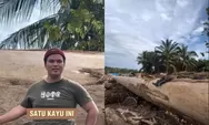 Heboh Kayu Super Besar Berusia Ratusan tahun  Pasca Banjir Bandang di Aceh Tamiang, Disebut Bisa Dijadikan untuk Bikin Kapal Nabi Nuh