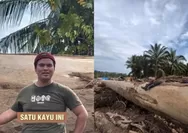 Heboh Kayu Super Besar Berusia Ratusan tahun  Pasca Banjir Bandang di Aceh Tamiang, Disebut Bisa Dijadikan untuk Bikin Kapal Nabi Nuh