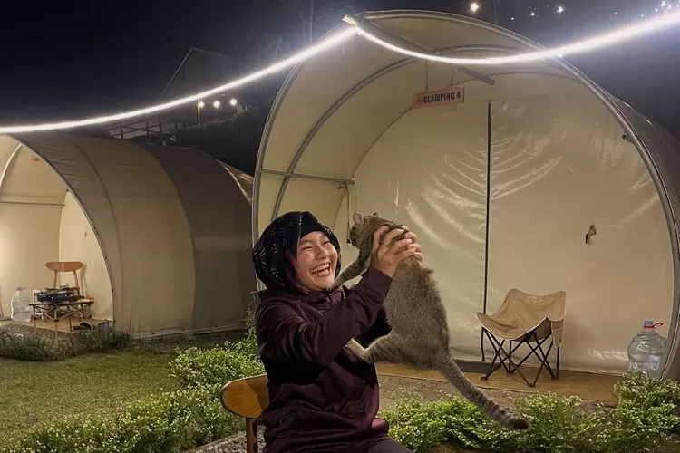 Suasana malam hari di area tenda glamping yang dihiasi lampu-lampu (Foto/Instagram @drajihnaturecamp)