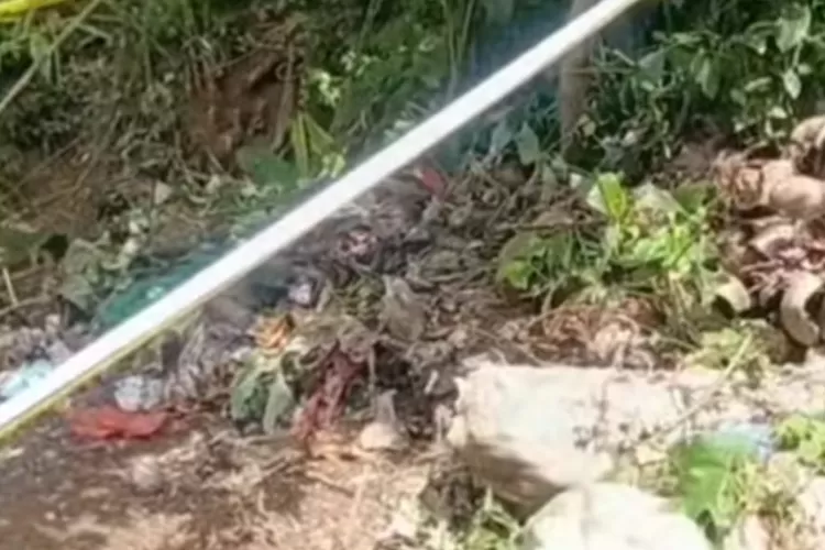 Ilustrasi lokasi pencarian kasus kematian anak Alvaro Kiano Nugroho. (HukamaNews.com / TikTok @iqbalcahyadi12)