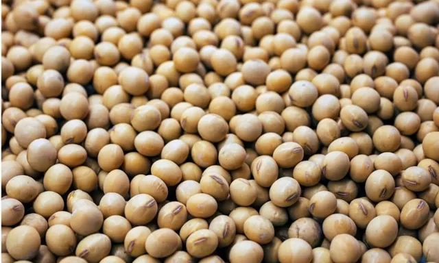 Titiek Soeharto Sentil Mentan Amran soal Kedelai, Konsumsi Dalam Negeri Banyak tapi Masih Impor