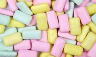 Waspada! Konsumsi Xylitol Berlebihan Bisa Sebabkan Ini Pada Tubuh Manusia