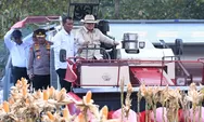 Hasil Panen Diekspor ke Malaysia, Presiden Prabowo Pimpin Panen Raya Jagung Nasional Tembus 1,23 Juta Ton