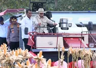 Hasil Panen Diekspor ke Malaysia, Presiden Prabowo Pimpin Panen Raya Jagung Nasional Tembus 1,23 Juta Ton