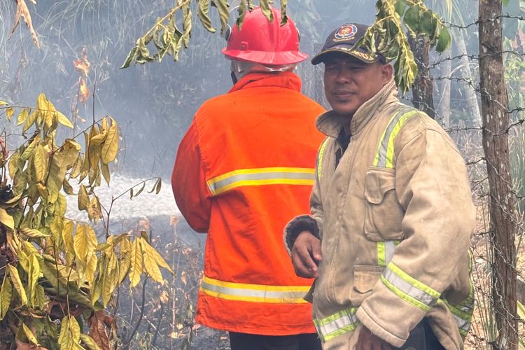 Lahan Pekarangan Warga di Bukit Baling Terbakar, Damkar Sekernan Bergerak Cepat