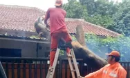 Petugas PPSU Berhasil Evakuasi Pohon Tumbang di Jalan Srengseng Sawah