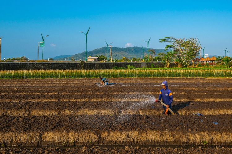 Dukung Terwujudnya Ketahanan Pangan BRI Salurkan Kredit 199,83 Triliun di Sektor Pertanian