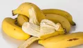 Biat Tetap Fit dan Bertenaga Selama Berpuasa, Saat Sahur Jangan Lupa Makan Buah Pisang 