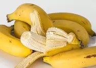 Biat Tetap Fit dan Bertenaga Selama Berpuasa, Saat Sahur Jangan Lupa Makan Buah Pisang 
