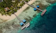 Berapa Harikah yang Puas Menikmati Indahnya Wisata Alam Pulau Raja Ampat Sesuai Budget
