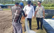 Bupati Tojo Una-Una Panen Udang di Tampabatu, Wujudkan Desa Mandiri dan Produktif