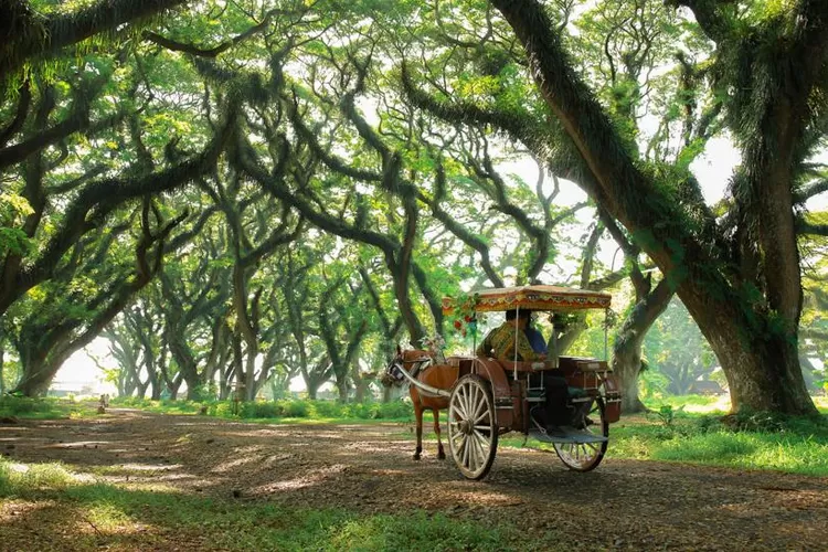 Banyuwangi, Kabupaten Terluas di Jawa Timur, Namun UMK-nya Masih Lebih Rendah Dibanding Wilayah Lainnya. (banyuwangikab.go.id)