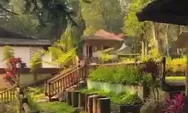 Rekomendasi Penginapan dengan Pemandangan Lembah, Sungai dan Suasana Pedesaan Bogor, Harga Mulai Rp 500 ribuan
