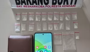 Edarkan Sbau, Seorang Petani di Konawe Kepulauan Dibekuk Satnarkoba Polresta Kendari 