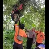 Akibat Rem Blong, Pengendara Motor 'terbang' di Jurang dan Alami Patah Tulang Sampai Motor Tersangkut di Pohon