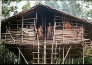 Suku Korowai: Suku Primitif Yang Tinggal di Atas Pohon dan Punya Ritual Mengerikan