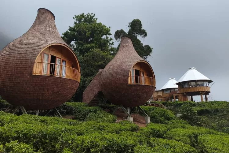 Tempat menginap di The Ciliwung. Ilustrasi 5 rekomendasi glamping di Jawa Barat. (Gmaps?The Ciliwung Adventure Camp)