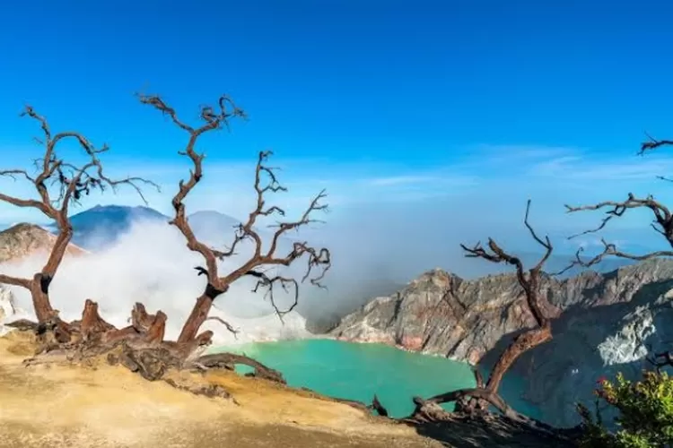 10 Destinasi Wisata Terbaru Banyuwangi 2025 yang Wajib Dikunjungi