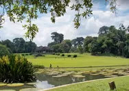 Kebun Raya Bogor: Menikmati kesejukan dan  Ketenangan dalam melihat  Halaman dan Kolam yang Menyegarkan
