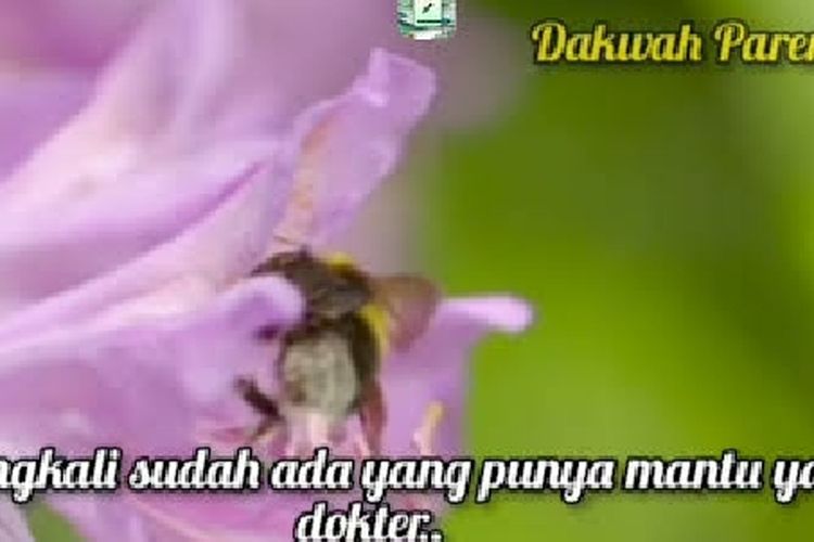 Seni Memahami Mertua, Lebih Penting Mana Antara Ibu dan Istri? Begini Penjelasan Dr Aisah Dahlan, Simak Di Bawah Ini