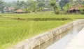 Pertanian dan Perkebunan Jadi Tulang Punggung Ekonomi Cianjur