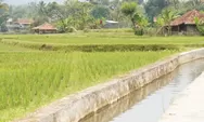 Pertanian dan Perkebunan Jadi Tulang Punggung Ekonomi Cianjur