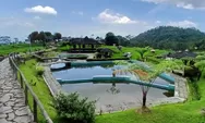 Mutiara Pagi: Dalam Genggaman Takdir (Bagian 2231)