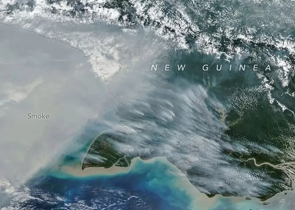 NASA menampilkan asap kebakaran di Papua dari citra satelit NOAA-20 yang direkam pada 11 Oktober 2026. Emisi karbon di wilayah Papua Indonesia melampaui 35 juta ton. (Sumber: NASA Earth Observatory) (Lie/Promedia)