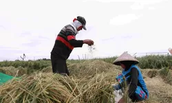 Hari Tani Nasional, Bupati Bekasi Resmikan Aturan Perlindungan Lahan Pertanian untuk Jaga Produktivitas