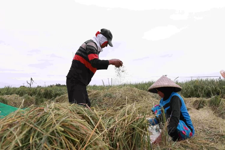 Peringatan Hari Tani Nasional tahun ini menjadi momen bersejarah bagi Kabupaten Bekasi. Pemerintah Kabupaten (Pemkab) bersama DPRD Kabupaten Bekasi resmi mengesahkan Rancangan Peraturan Daerah (Raperda) tentang Perlindungan Lahan Pertanian Pangan Berkelanjutan (LP2B), untuk menyejahterakan petani. (Foto/Humas Kabupaten Bekasi.)