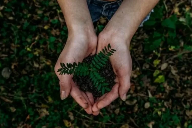 Tipu Konsumen, Apa Itu Praktik Greenwashing Yang Dilakukan Perusahan ...