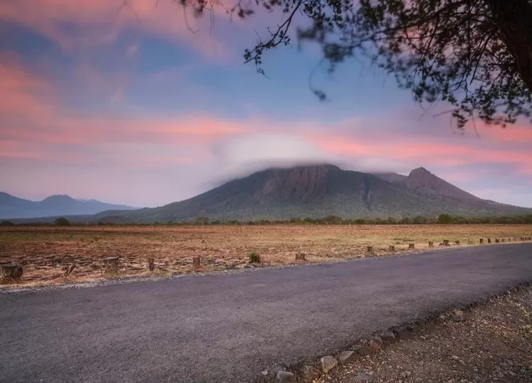 Taman Nasional Baluran