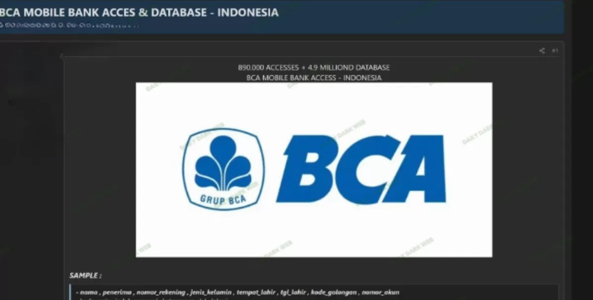 Tangkapan layar terkait dugaan kasus kebocoran data nasabah di Mobile Banking BCA dalam forum Dark Web. (X.com/DailyDarkWeb)