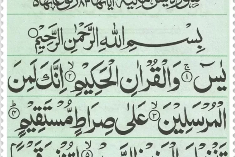 Bacaan Surat Yasin Ayat Lengkap Teks Bahasa Arab Latin Dan Terjemahan Mudah Dibaca Saat