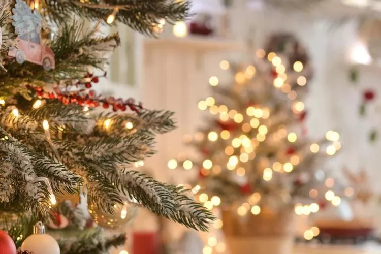 Ilustrasi Natal Tahun 2025 - Pimpin Ratas Sidang Kabinet, Presiden Prabowo Subianto Pastikan Keamanan dan Kenyamanan Jelang Natal 2024 dan Tahun Baru 2025