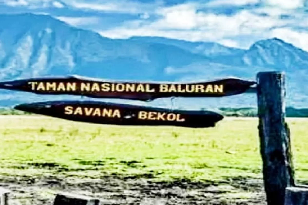 Potret kawasan konservasi alam yang terkenal dengan hamparan savana luas menyerupai Afrika. (YouTube Pariwisata Daerah)