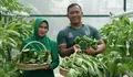 Dandim Abdya Sulap Lahan Terbatas Rumah Dinas Jadi Kompi Produksi Pangan