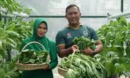 Dandim Abdya Sulap Lahan Terbatas Rumah Dinas Jadi Kompi Produksi Pangan