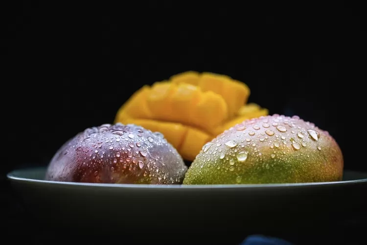 Resep dessert mango sagoo yang wangi dan creamy.  (Pixabay candoyi)