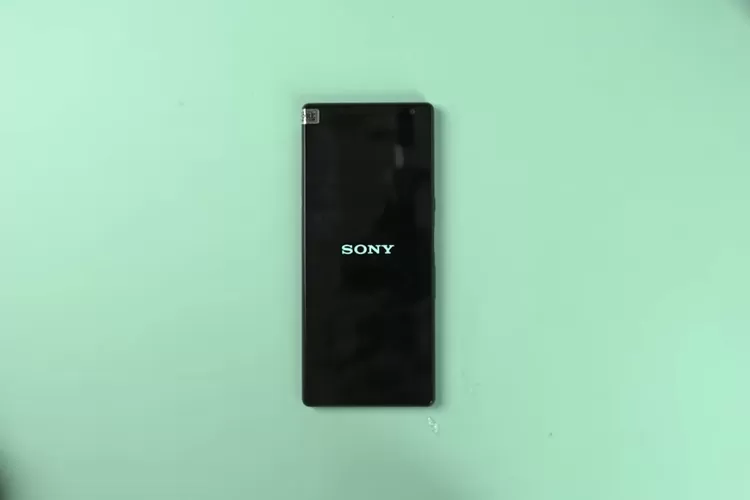 Sony Xperia 10 Plus: Advanced Photography Features and Unique Design