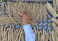 Mau Gigi Kuat dan Bersih? Ini Alasan Siwak Jadi Solusi yang Jarang Kamu Tahu!