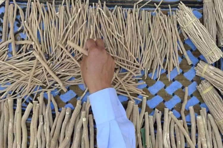 Mau Gigi Kuat dan Bersih? Ini Alasan Siwak Jadi Solusi yang Jarang Kamu Tahu!