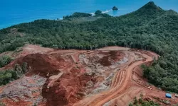 PANAS! PBNU Sebut Aktivis Lingkungan Terlalu Ekstrem Kritisi Tambang Raja Ampat, Greenpeace: Saatnya tobat..