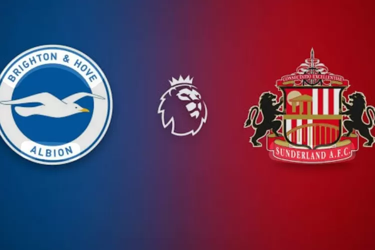 Brighton vs Sunderland